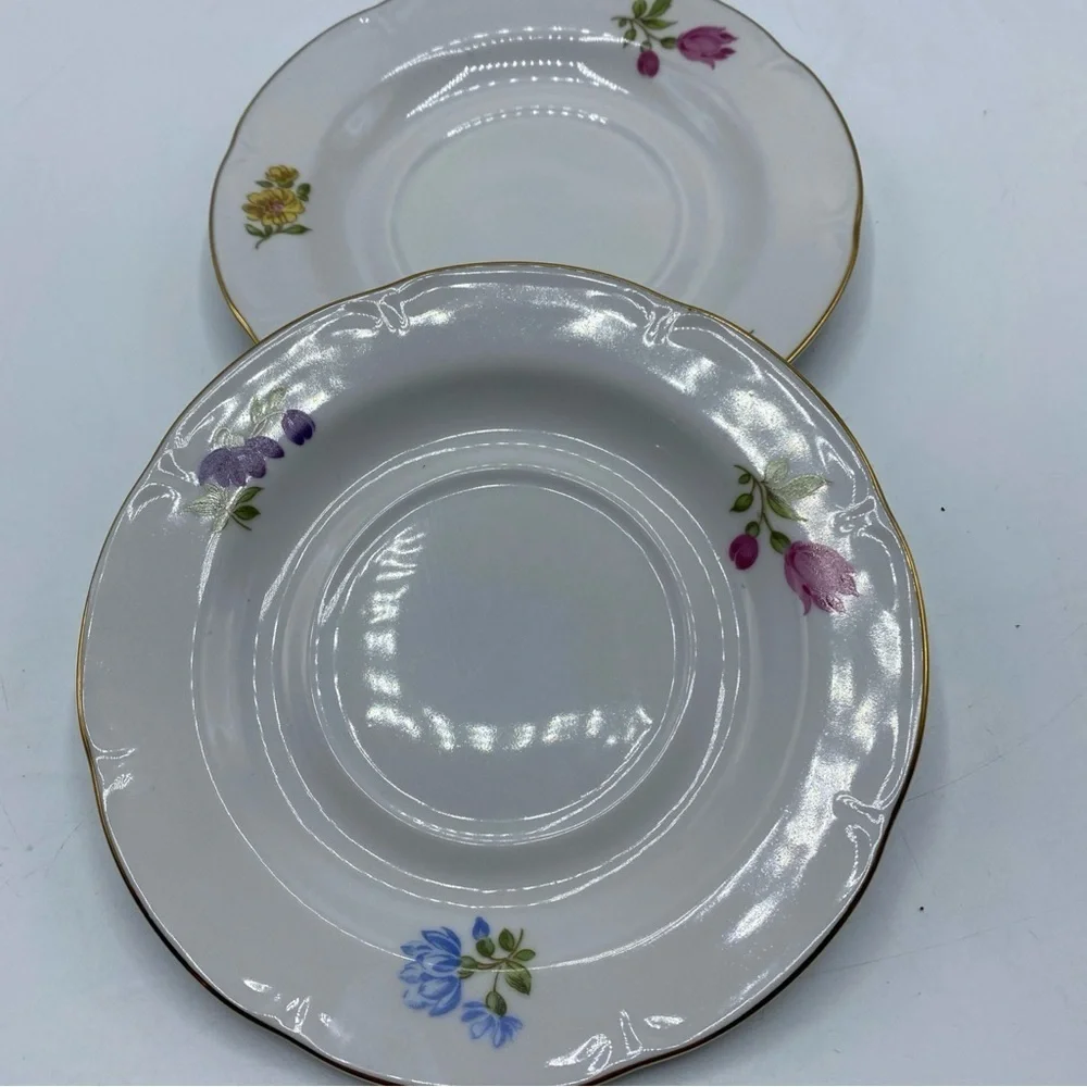 JLMENAU Graf Von Henneberg Floral Porzellan Saucer E Germany Vintage Set Of 2